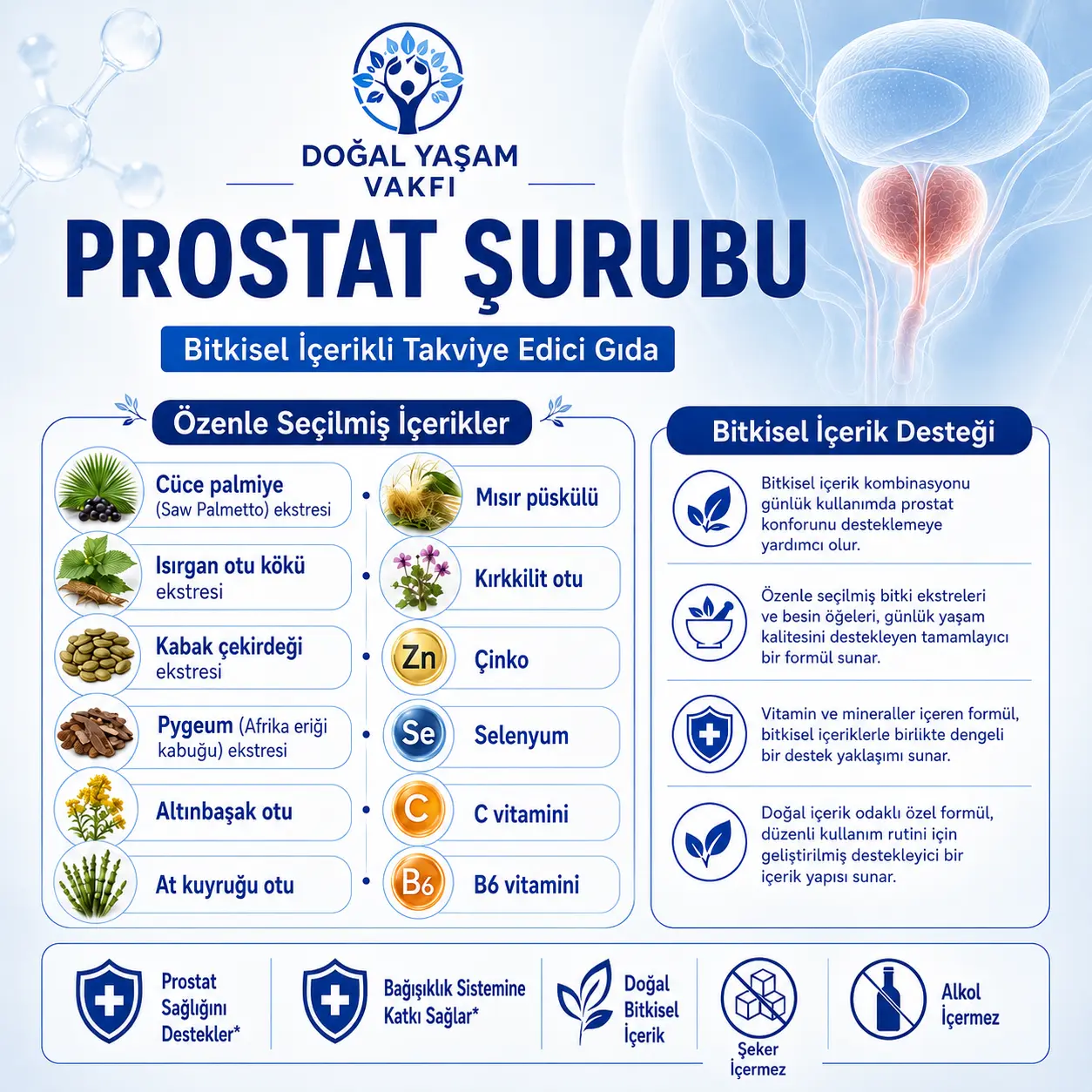 Prostat Şurubu Bölüm 5